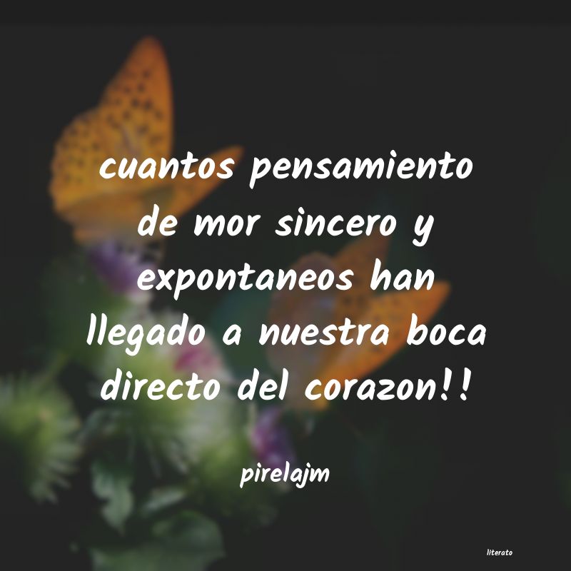frases de pirelajm