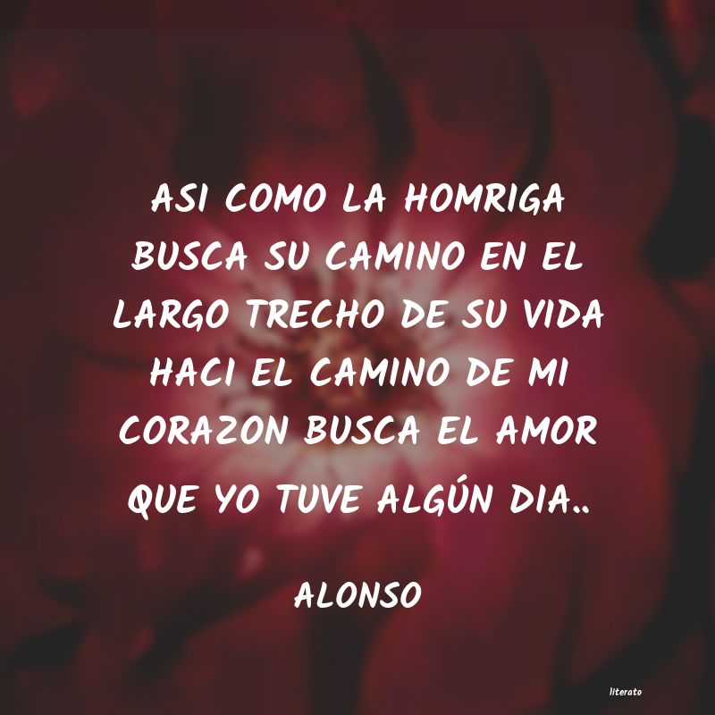 Frases de ALONSO