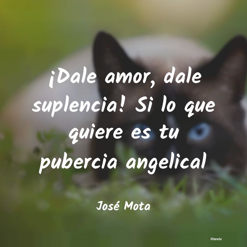 Frases de José Mota