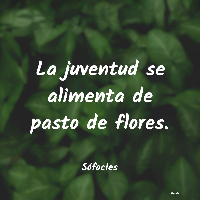 Frases de Sófocles