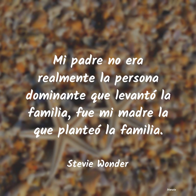 frases de Stevie Wonder