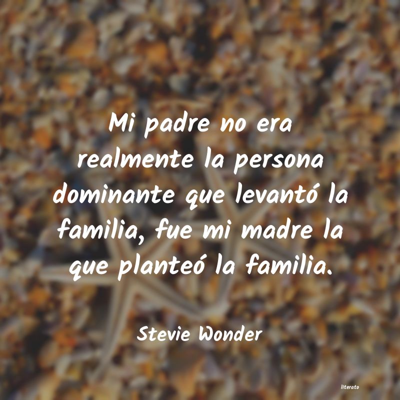 Frases de Stevie Wonder