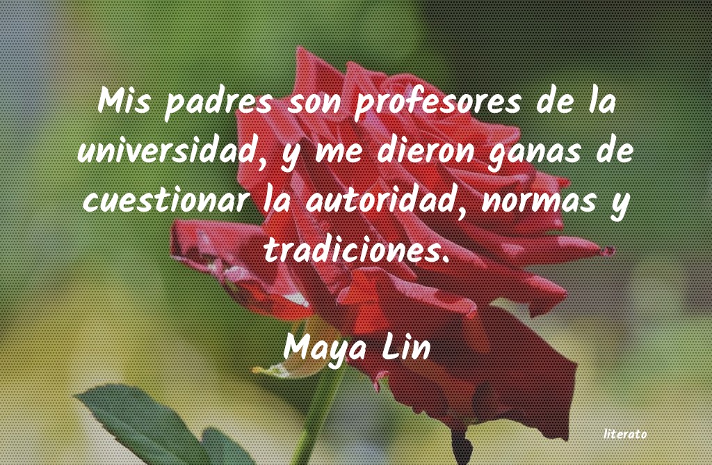 Frases de Maya Lin