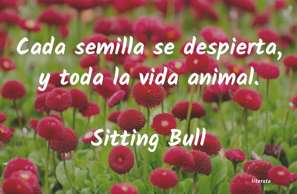 Frases de Sitting Bull