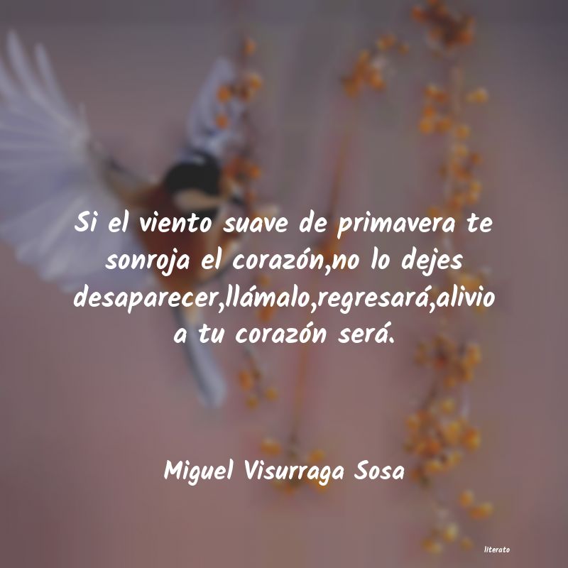 Frases de Miguel Visurraga Sosa