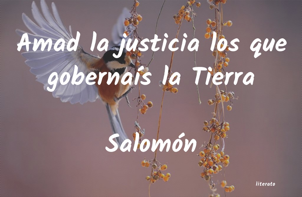 Frases de Salomón