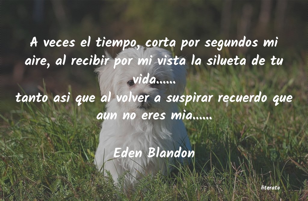 Frases de Eden Blandon