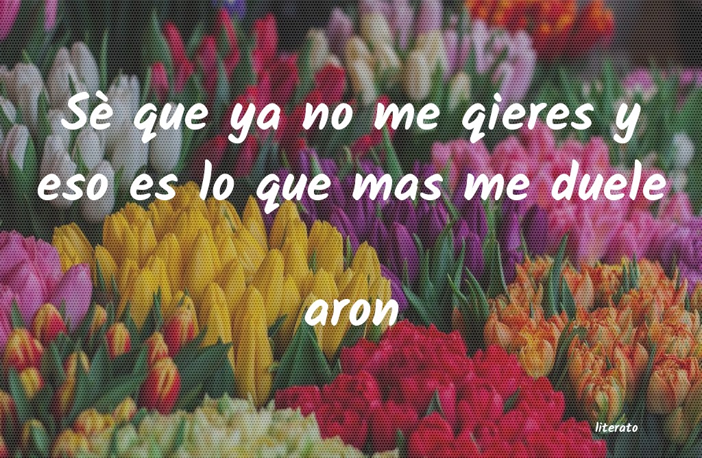 Frases de aron