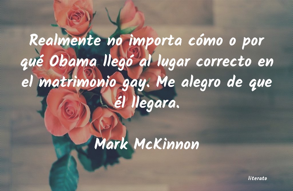 Frases de Mark McKinnon