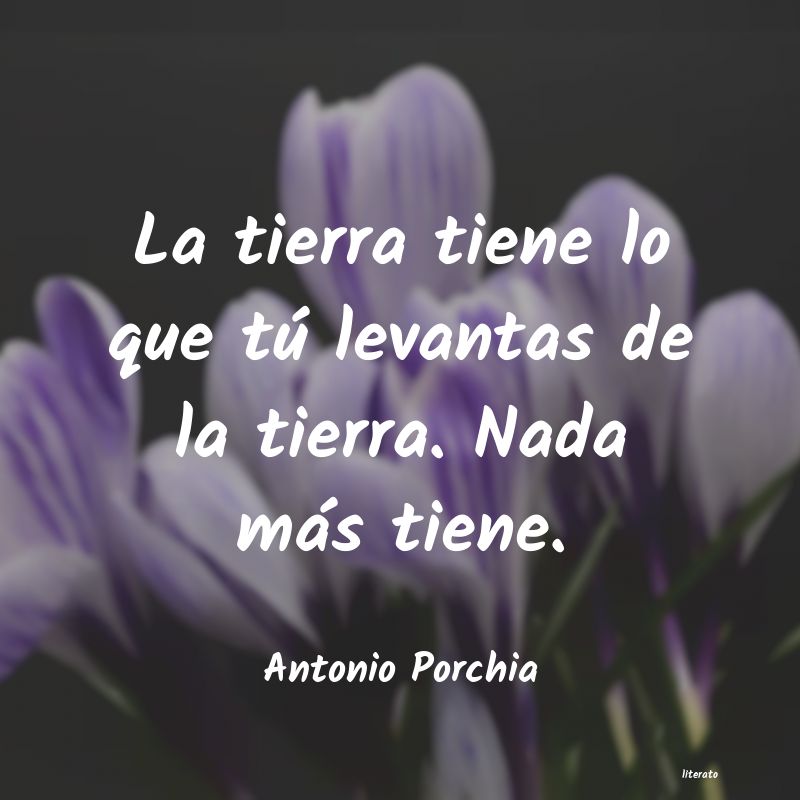 frases de Antonio Porchia