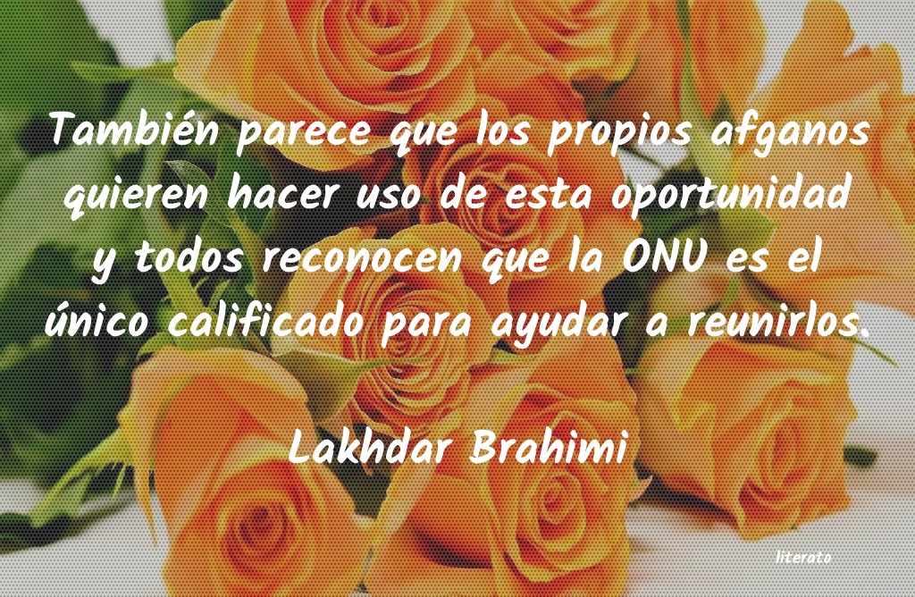frases de Lakhdar Brahimi
