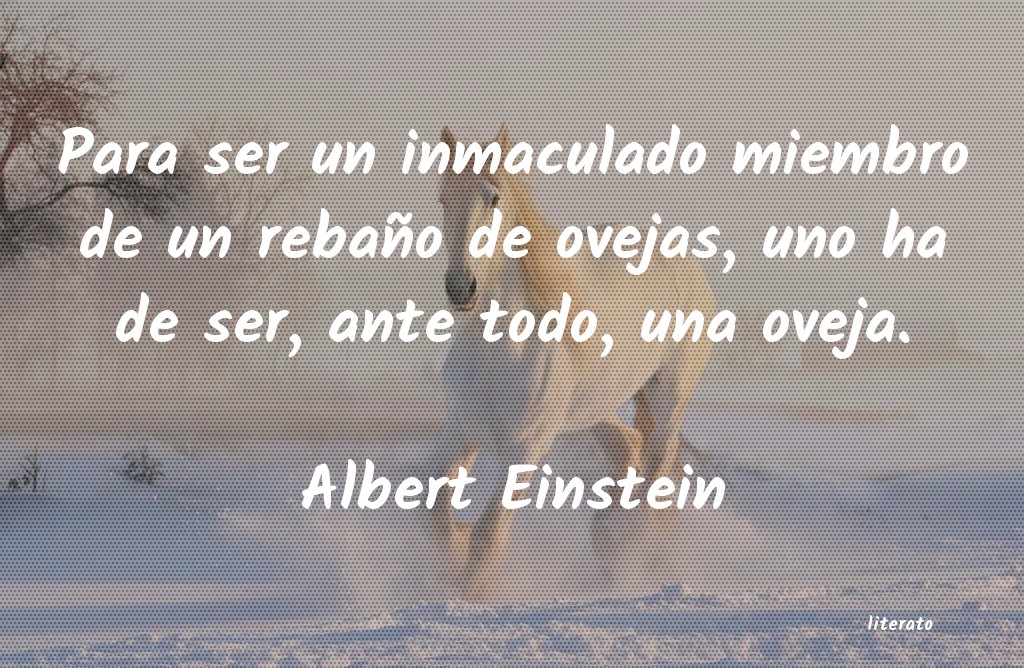 frases de Albert Einstein