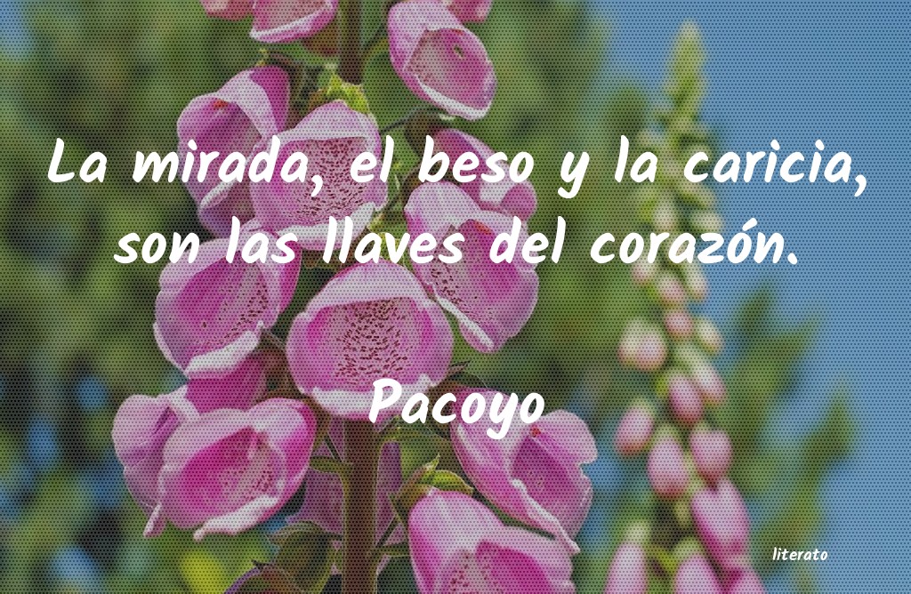 frases de Pacoyo