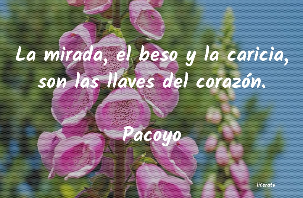 Frases de Pacoyo