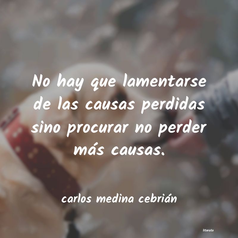 Frases de carlos medina cebrián