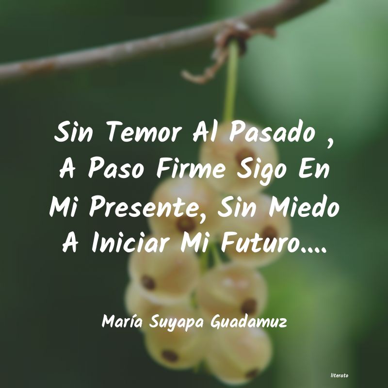 Frases de María Suyapa Guadamuz