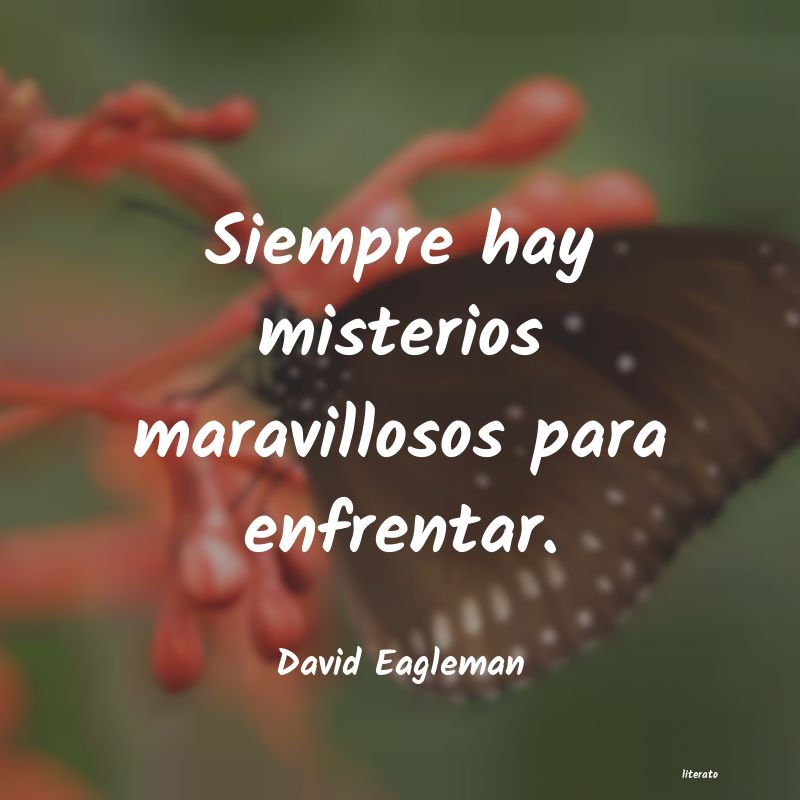 frases de David Eagleman