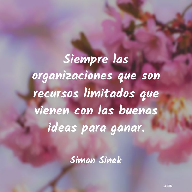 Frases de Simon Sinek