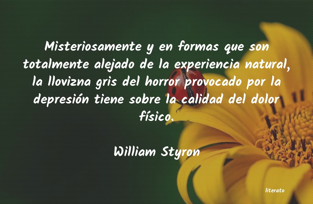 Frases de William Styron