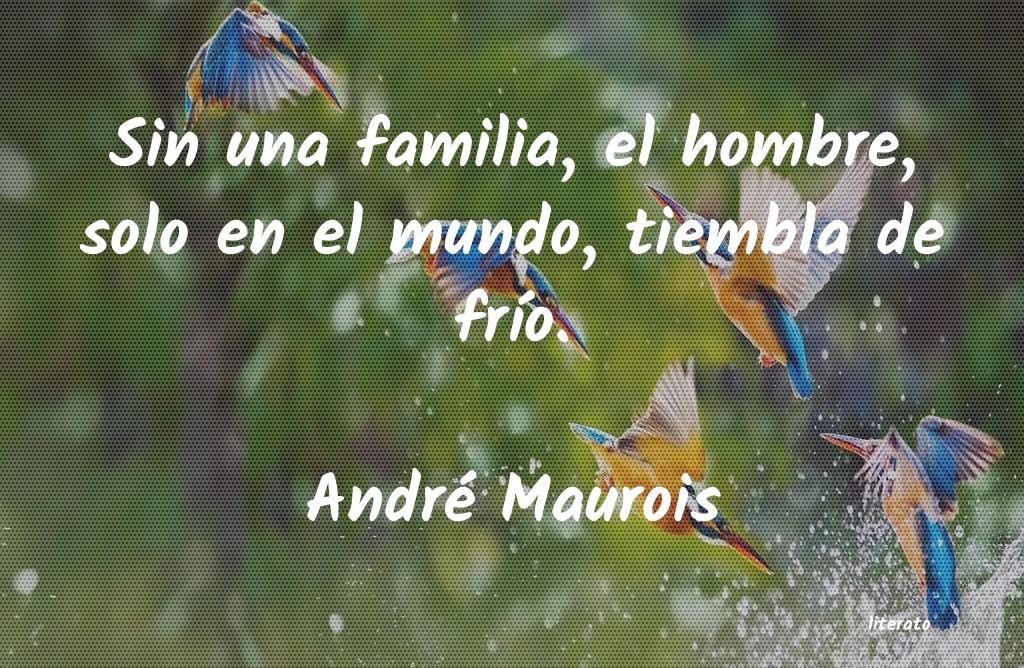 Frases de André Maurois