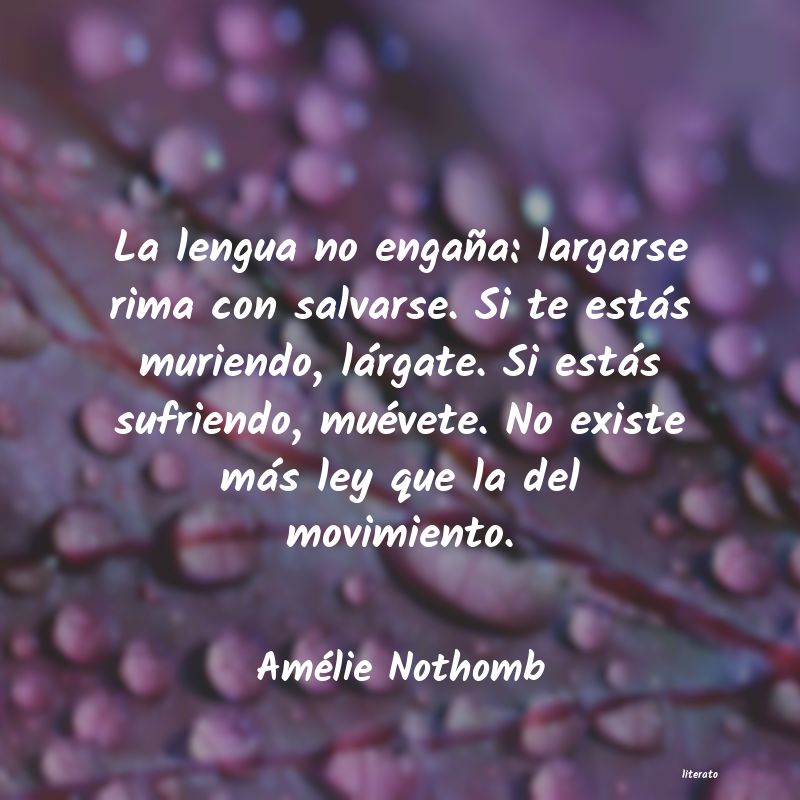 Frases de Amélie Nothomb