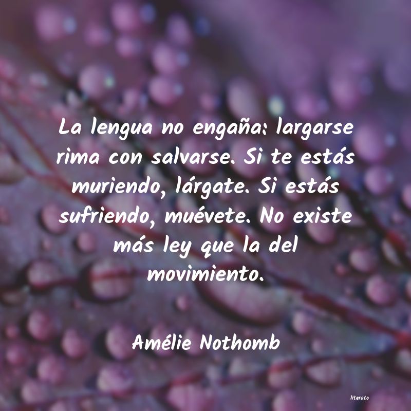 frases de Amélie Nothomb