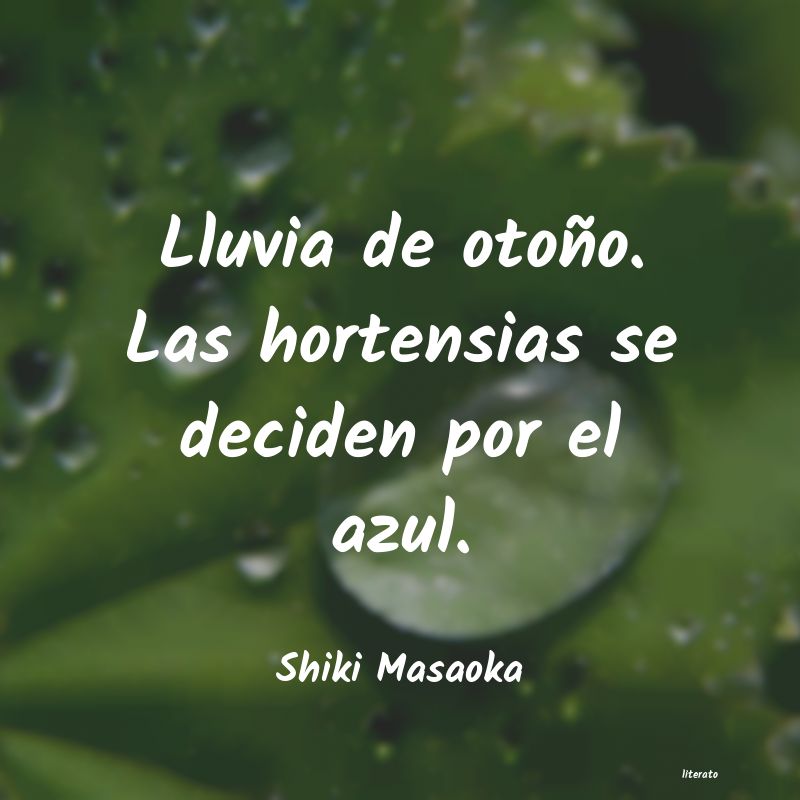 frases de Shiki Masaoka