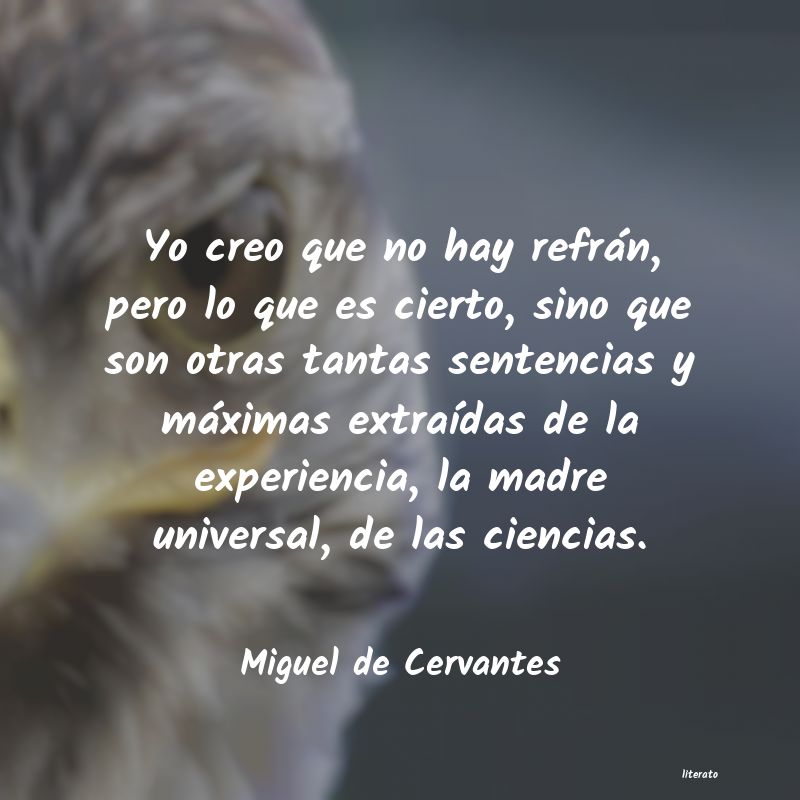 Frases de Miguel de Cervantes