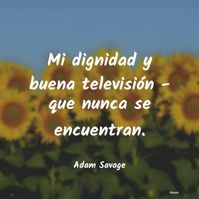 Frases de Adam Savage