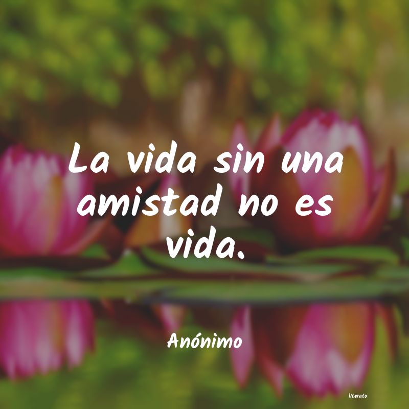 frases