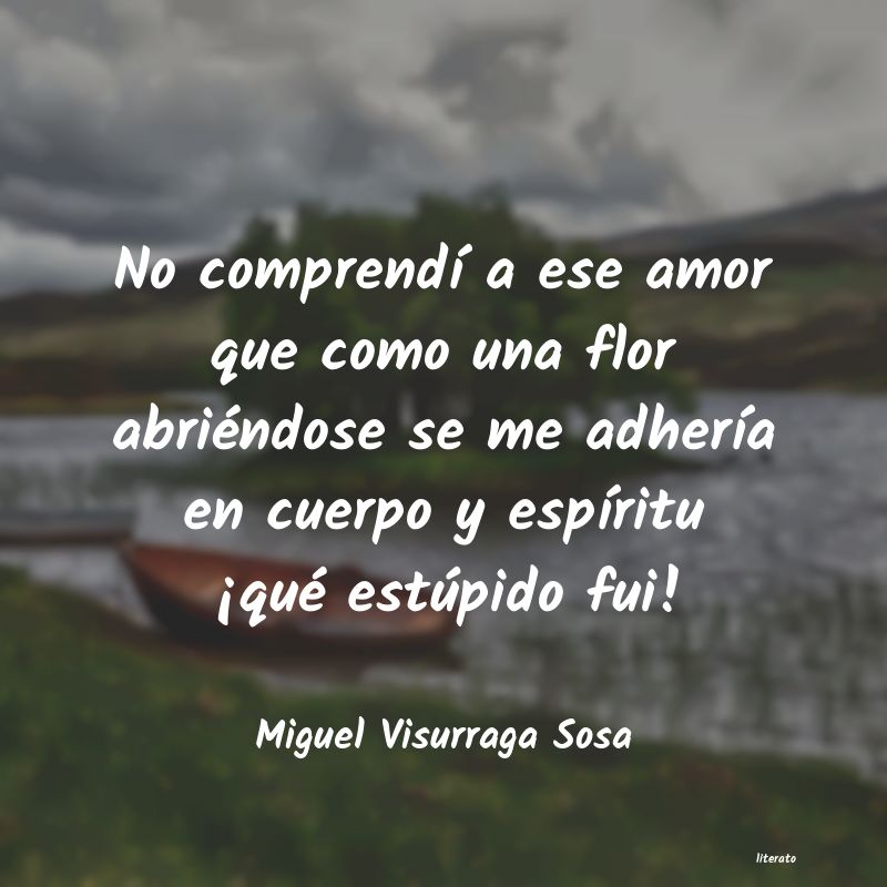 Frases de Miguel Visurraga Sosa