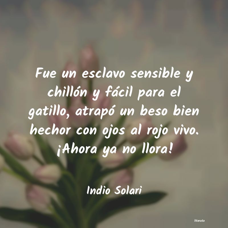 Frases de Indio Solari