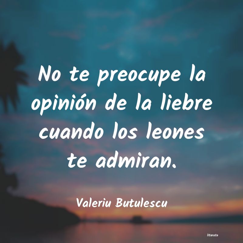 frases de Valeriu Butulescu