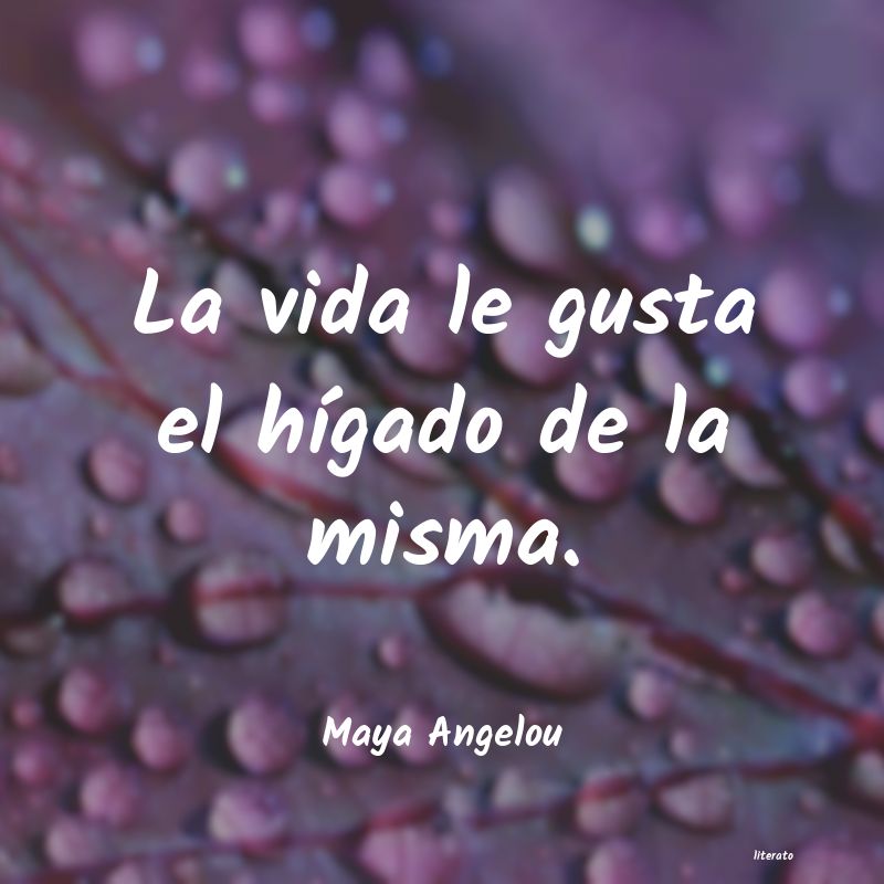 Frases de Maya Angelou