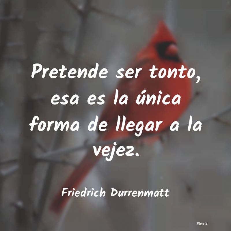 Frases de Friedrich Durrenmatt