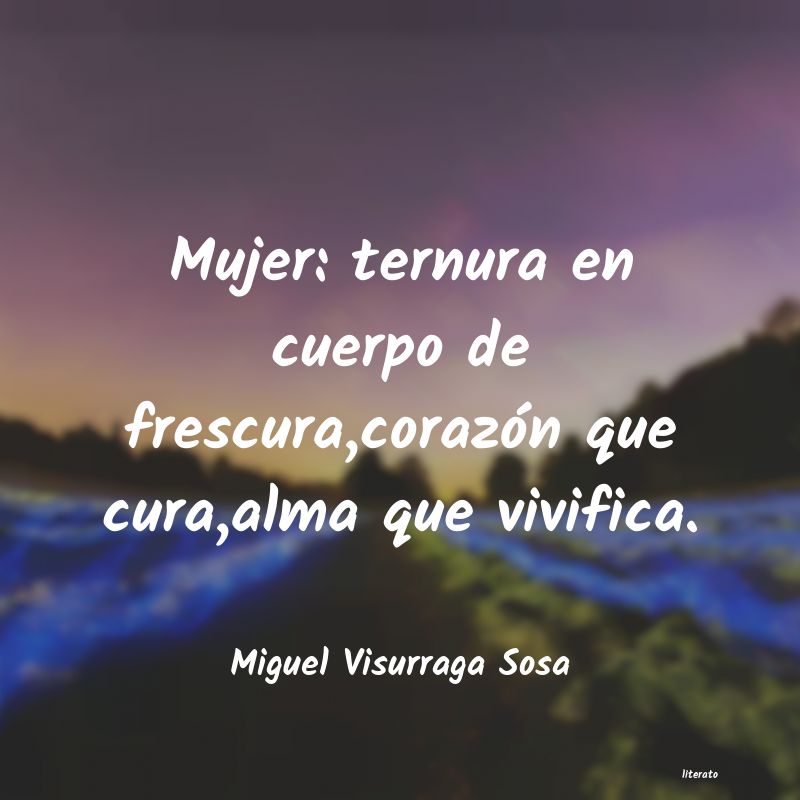 Frases de Miguel Visurraga Sosa