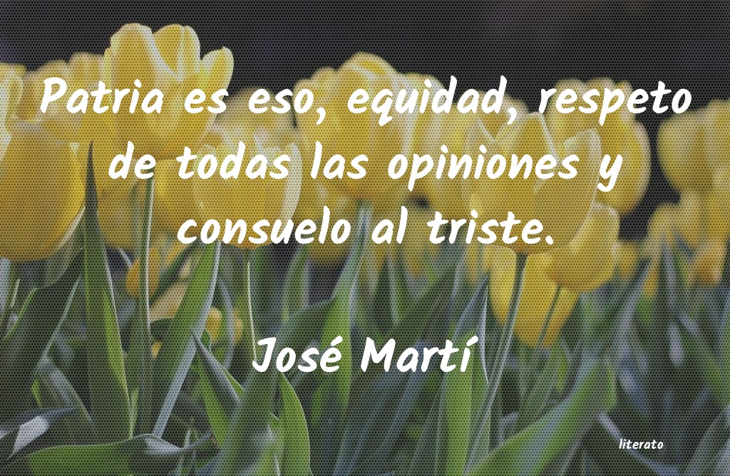 Frases de José Martí