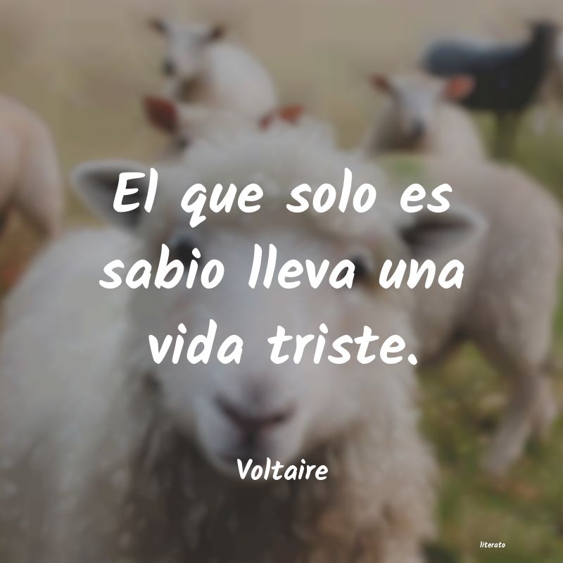 frases de Voltaire