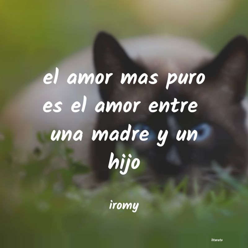 Frases de iromy