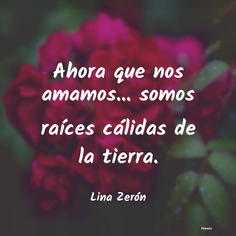 Frases de Lina Zerón