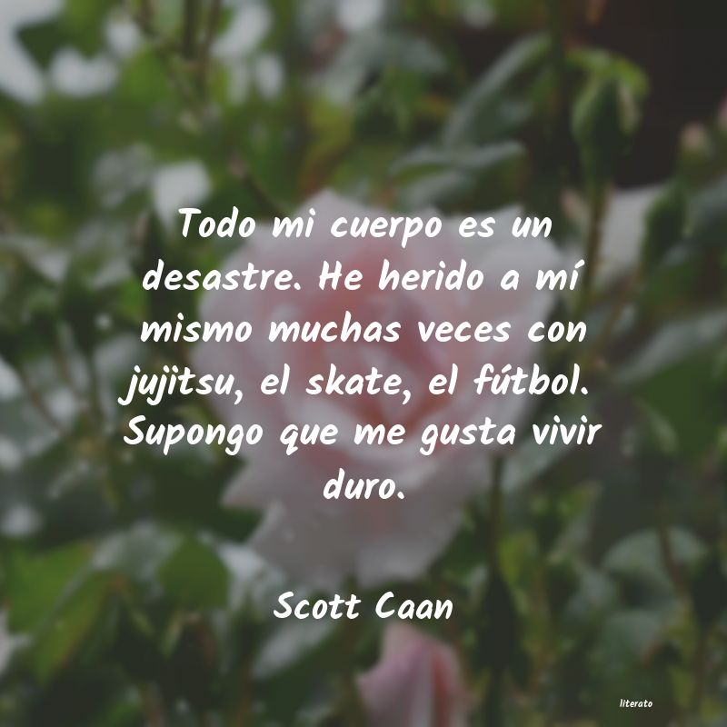 Frases de Scott Caan