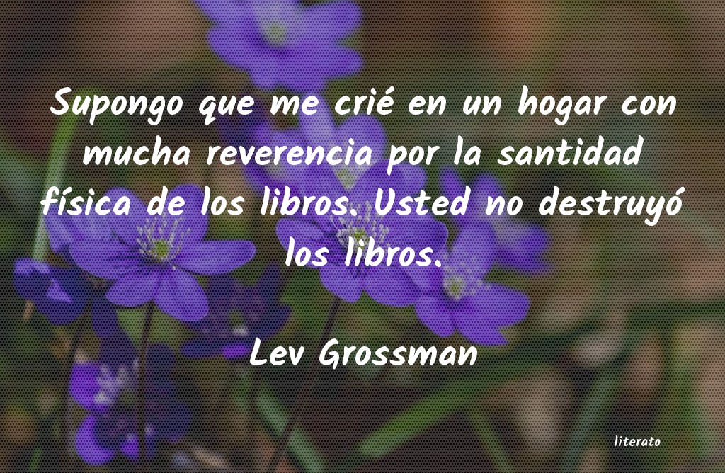 frases de Lev Grossman