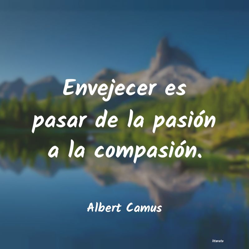 frases de Albert Camus