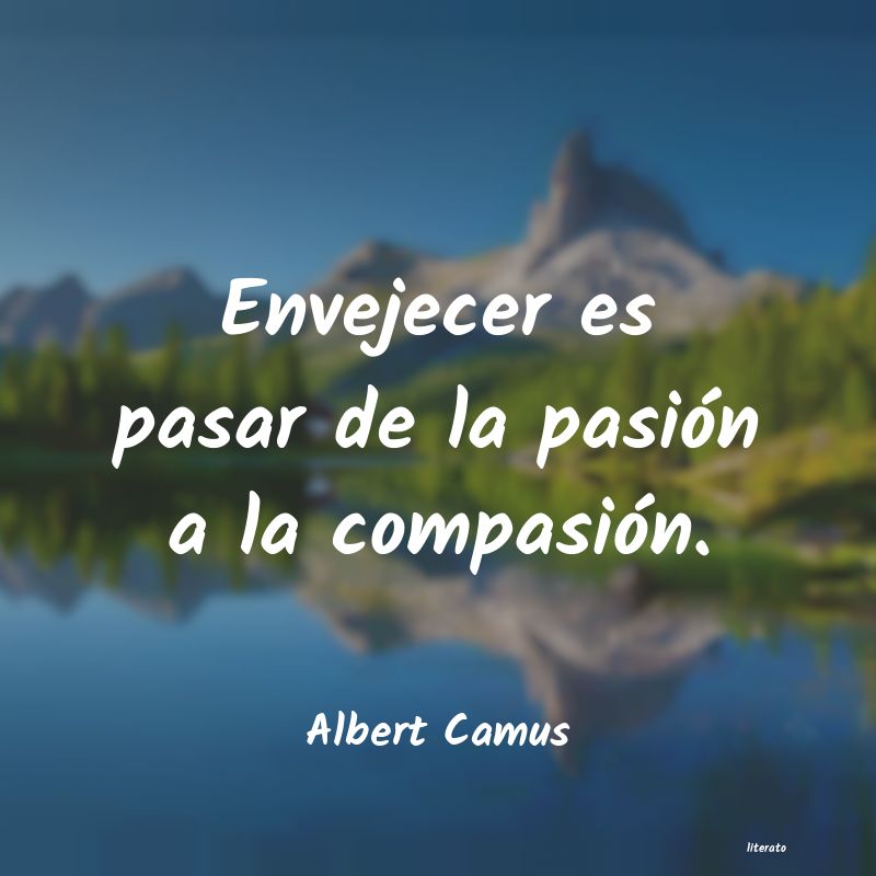 Frases de Albert Camus