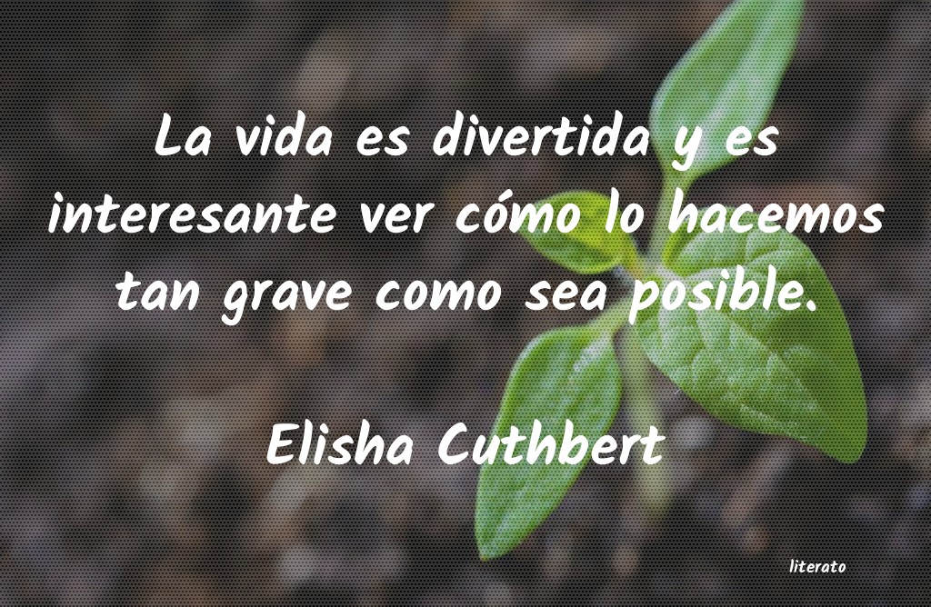 frases de Elisha Cuthbert