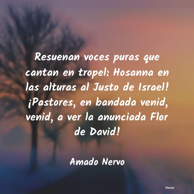 Frases de Amado Nervo