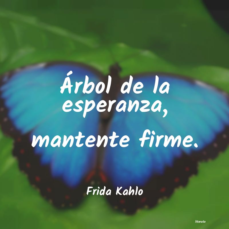 frases de Frida Kahlo