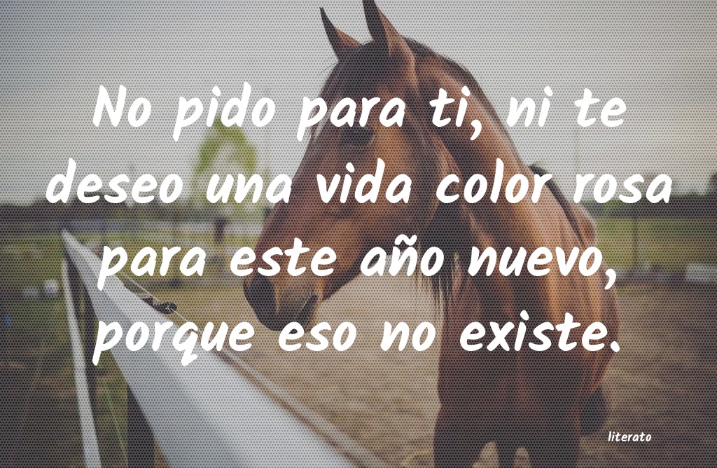 frases