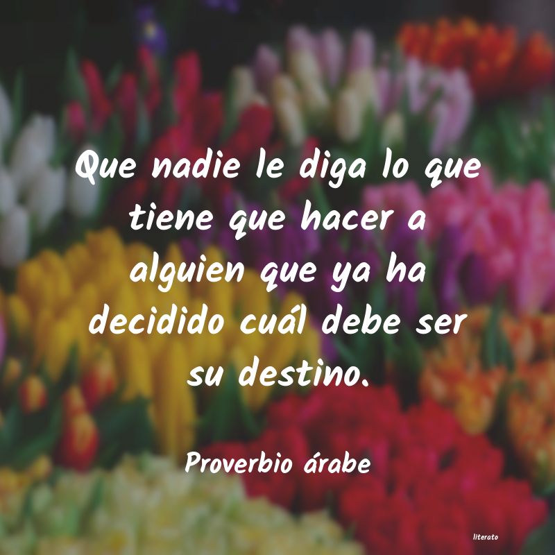 Frases de Proverbio árabe