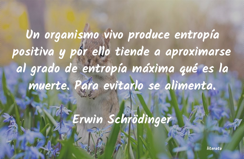 Frases de Erwin Schrödinger